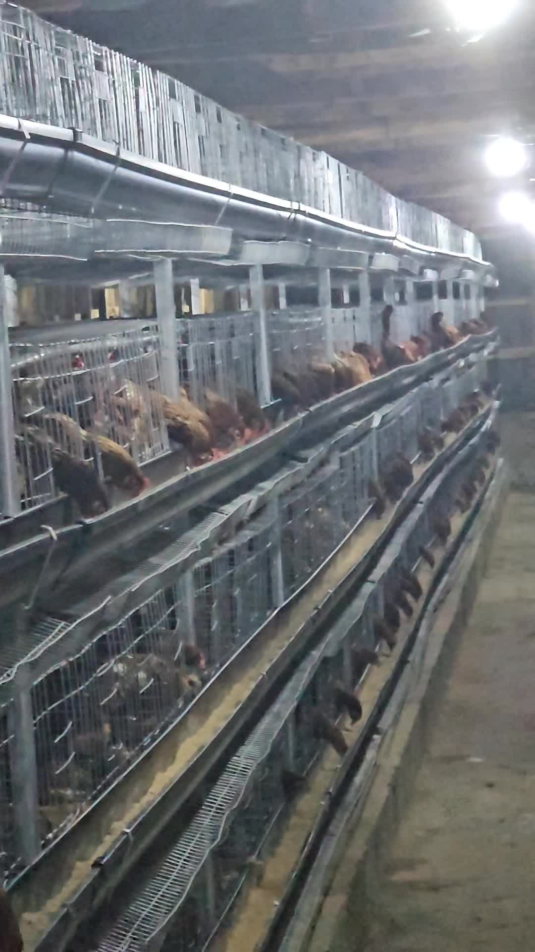 @thetri farms