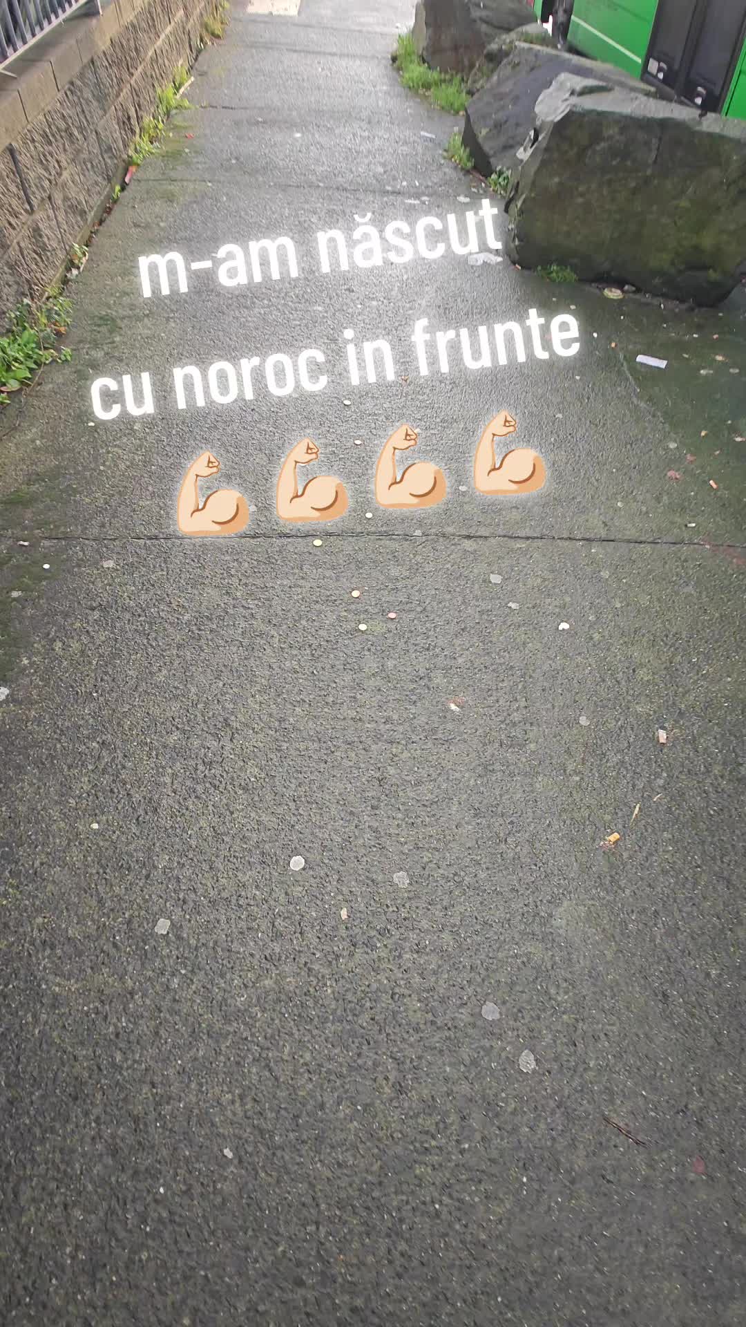 @Florin Malin