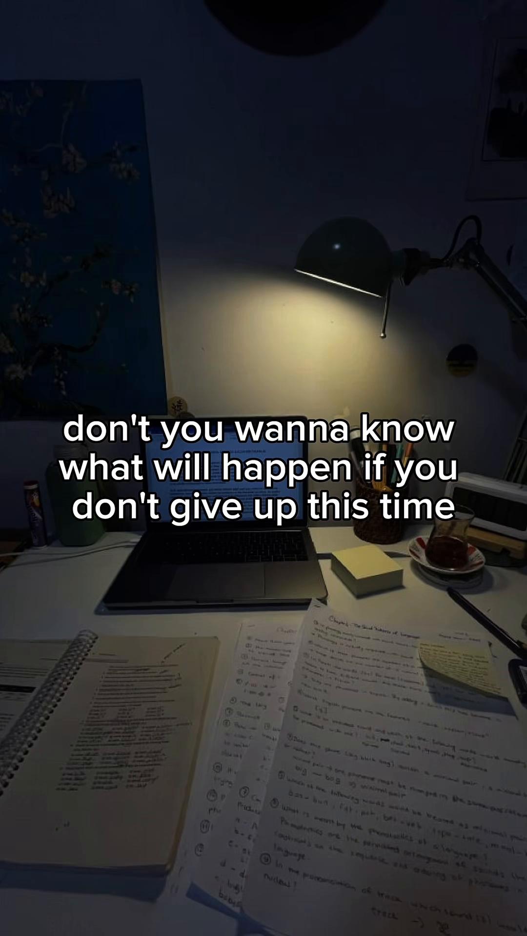 @luzstudy.17