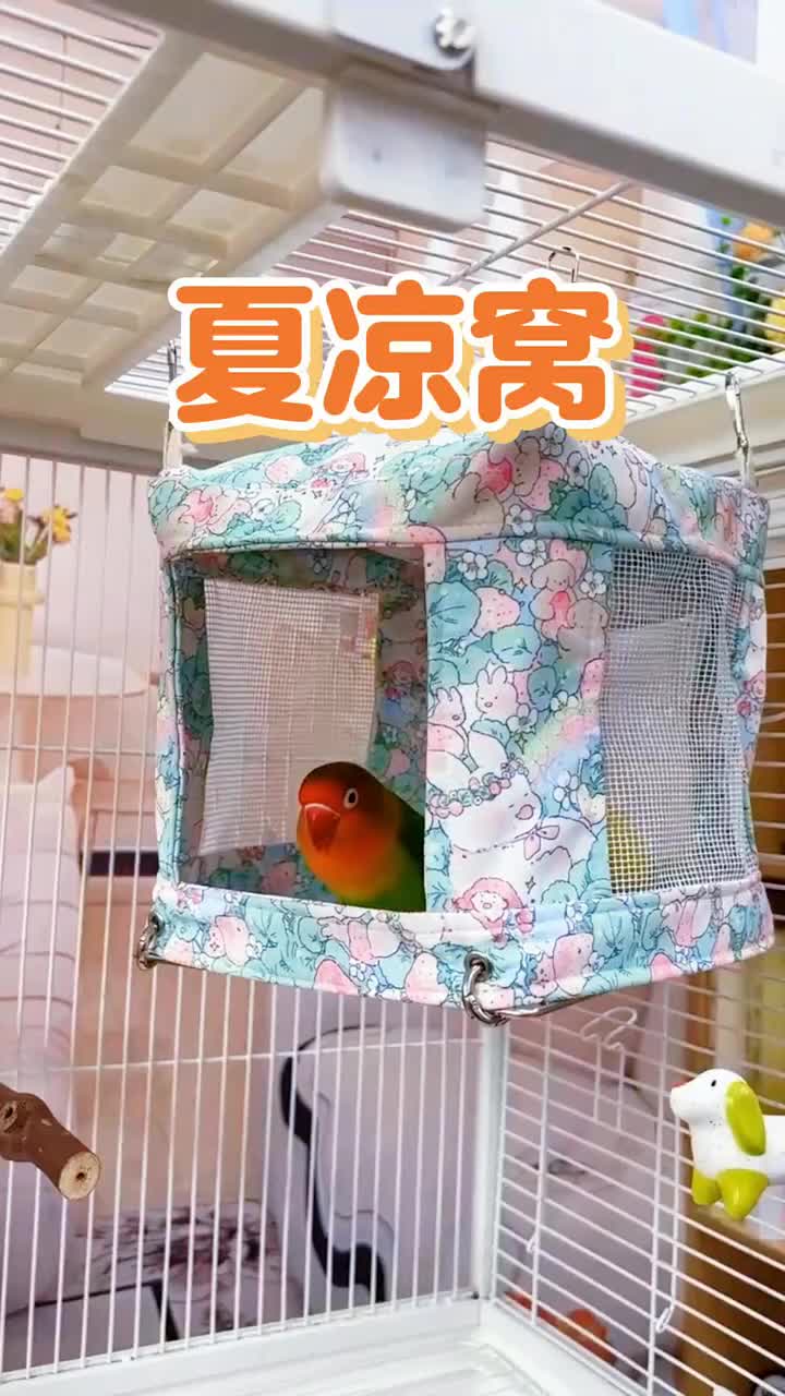 @chinabirds47