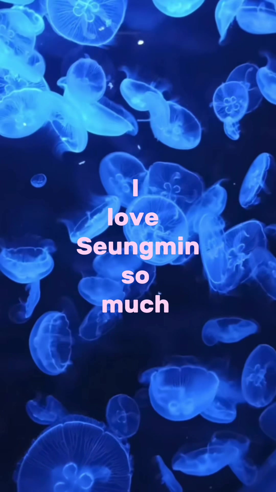 @🐶&bull;SEUNGMIN&bull;🐶