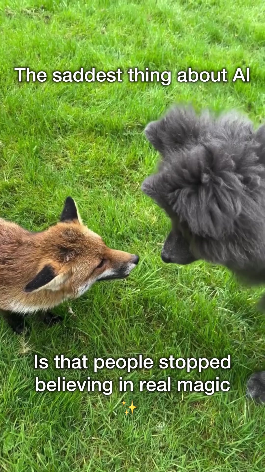 @My Blue Wolf