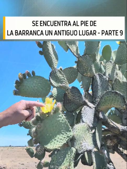 @Videos De Mi Querido Zacatecas