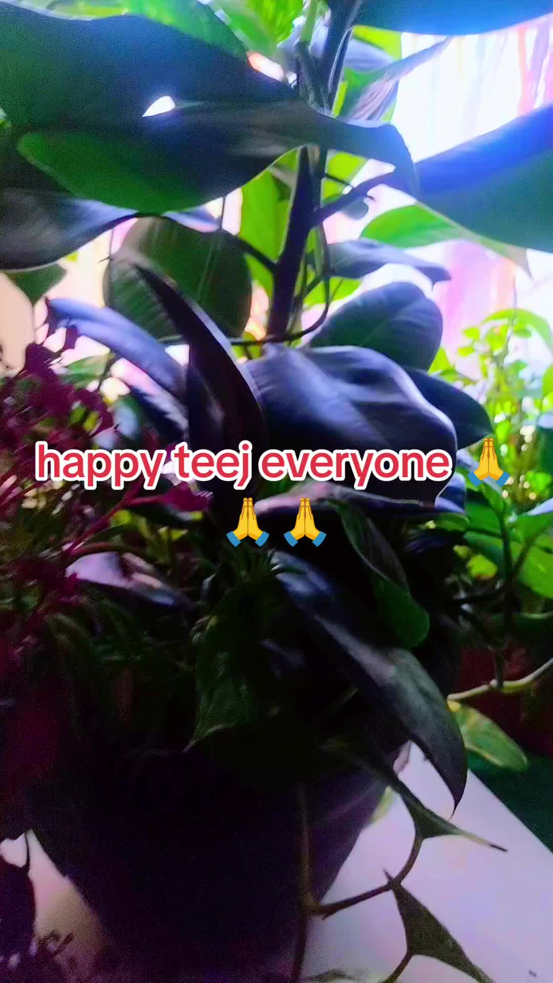 @zeroclue