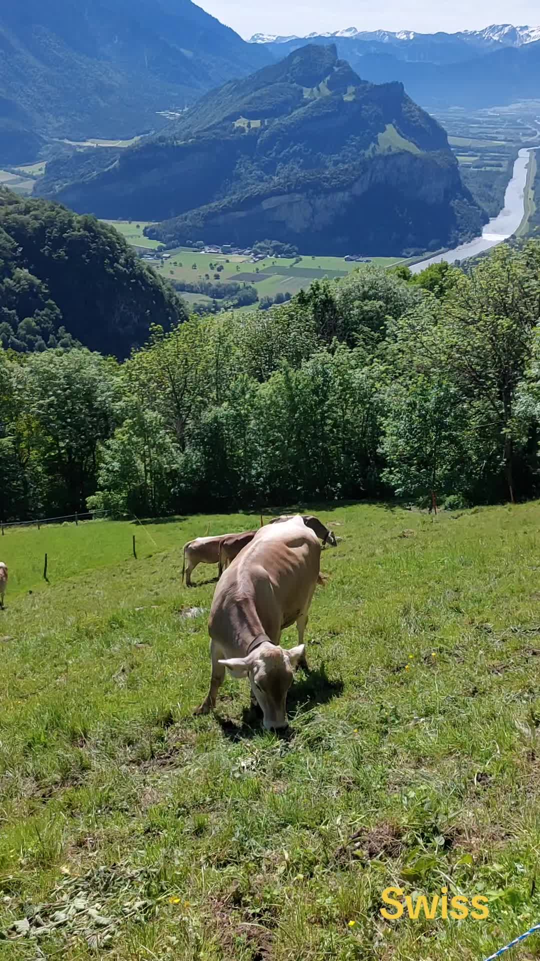 @Vladzik67
