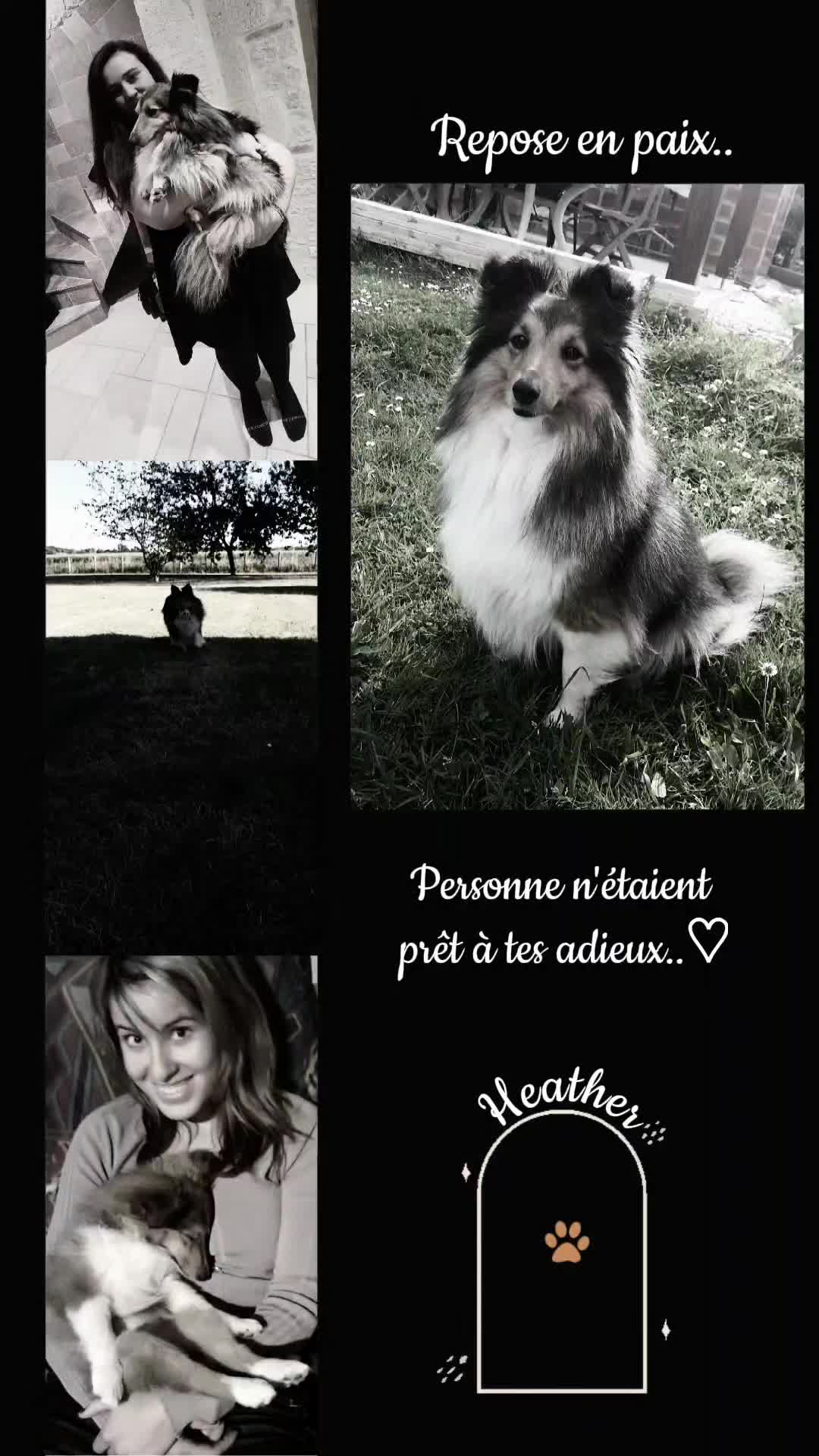 @ChaCha&Cie♡