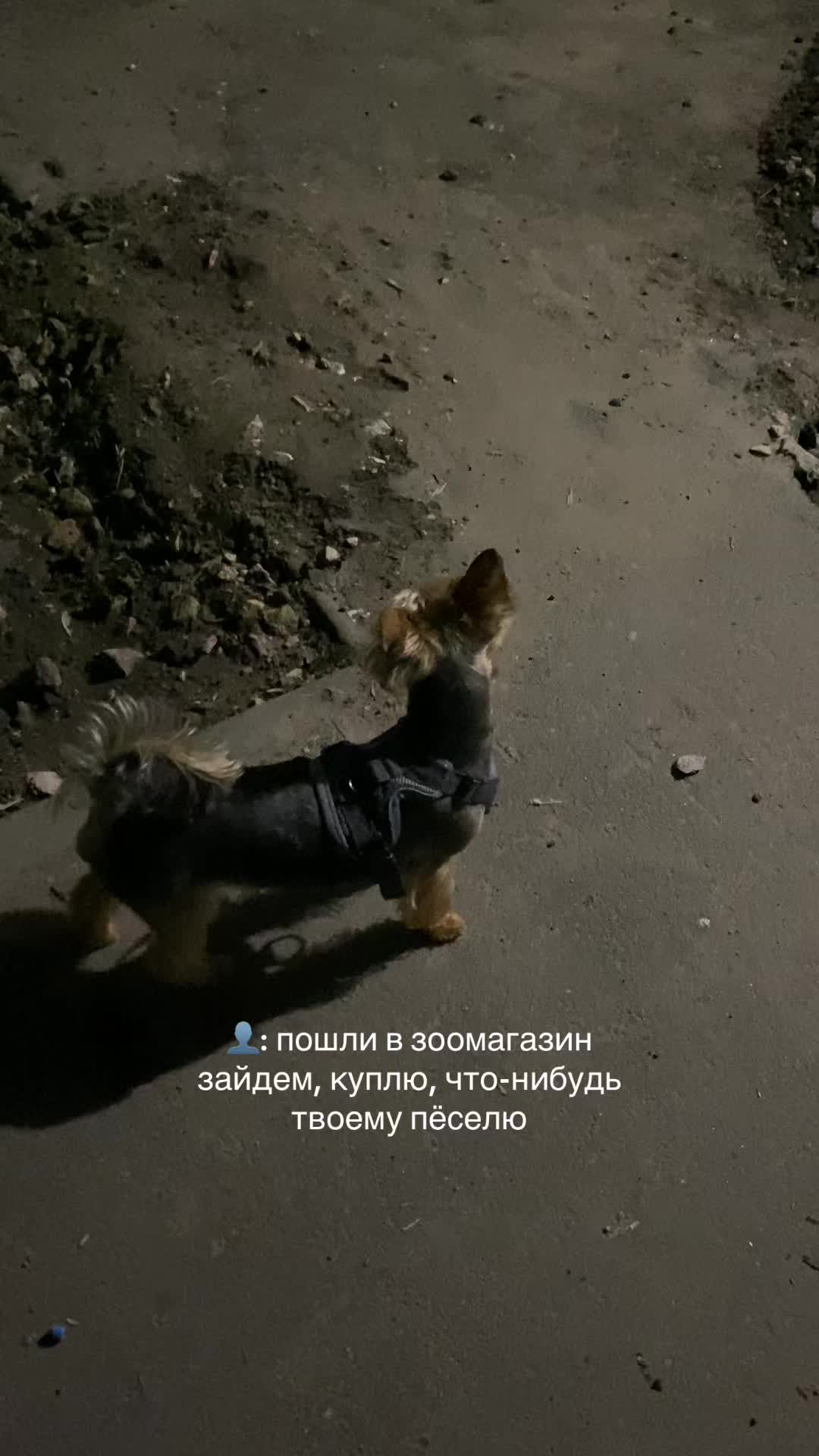 @arnwxqqi