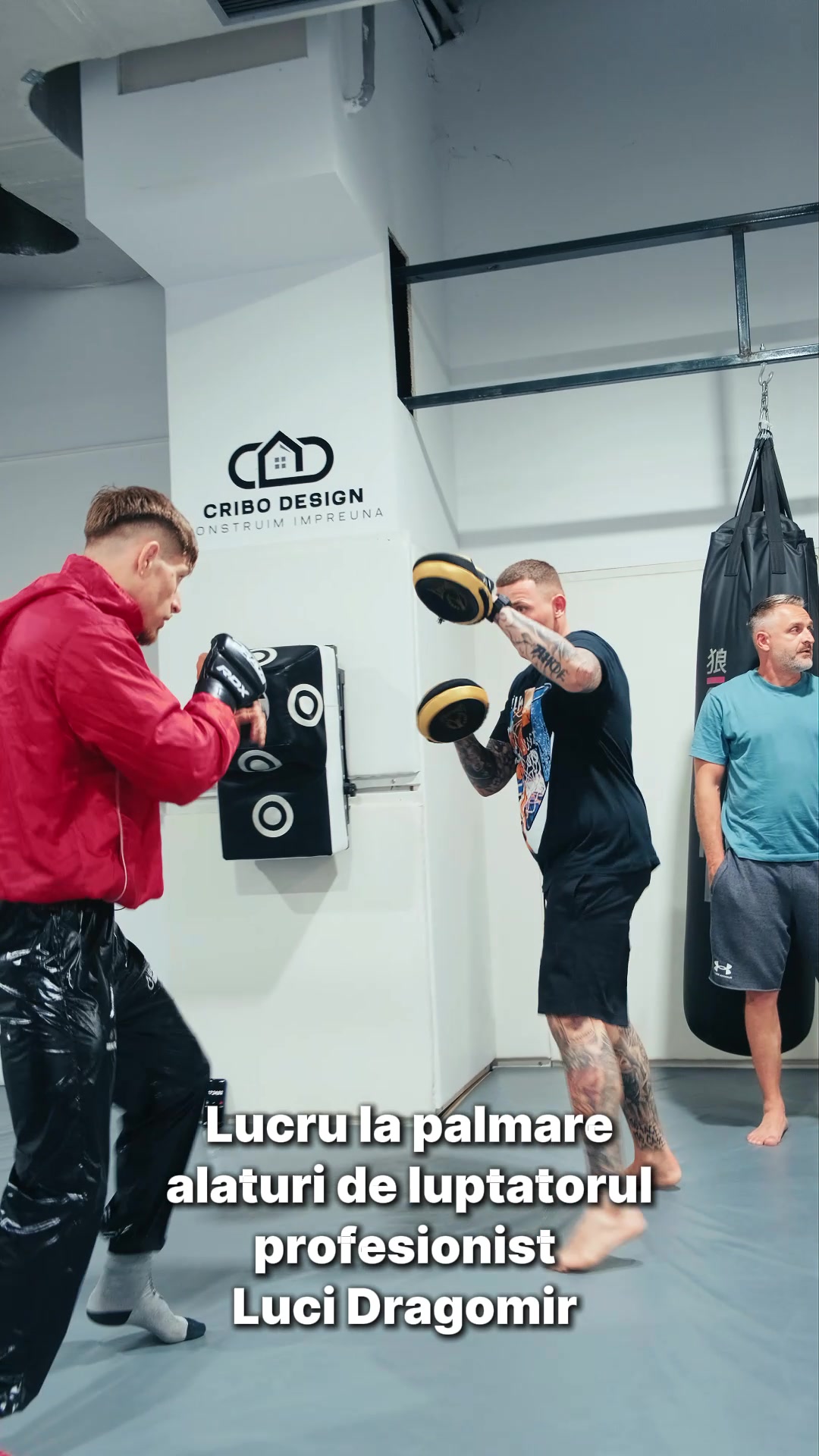 @C.S RAPID BUCUREȘTI - BOX 🥊