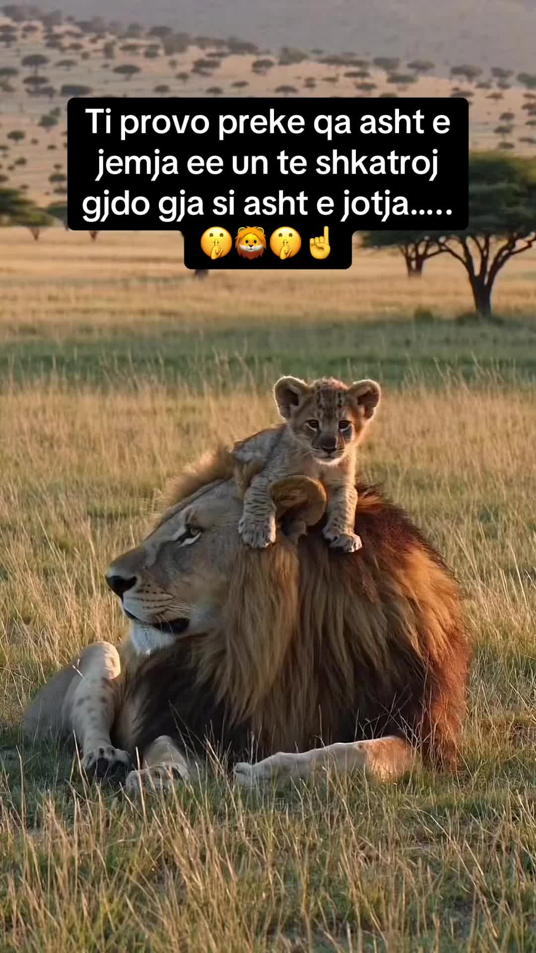 @ShKODRANE👸🏼🇦🇱🦁