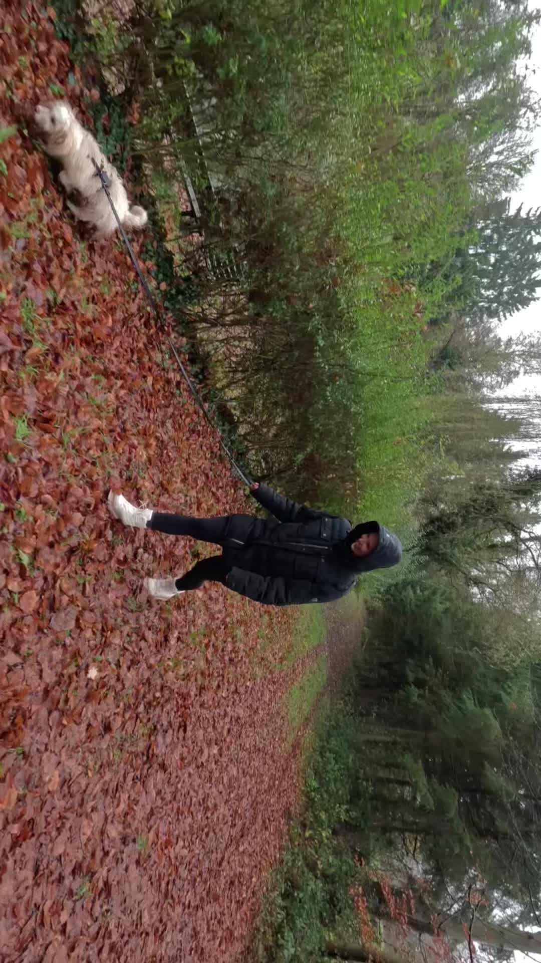 @alex_hundecoach