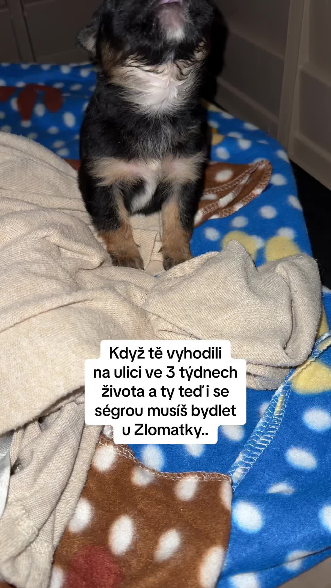 @Zlomatka v It&aacute;lii🇮🇹