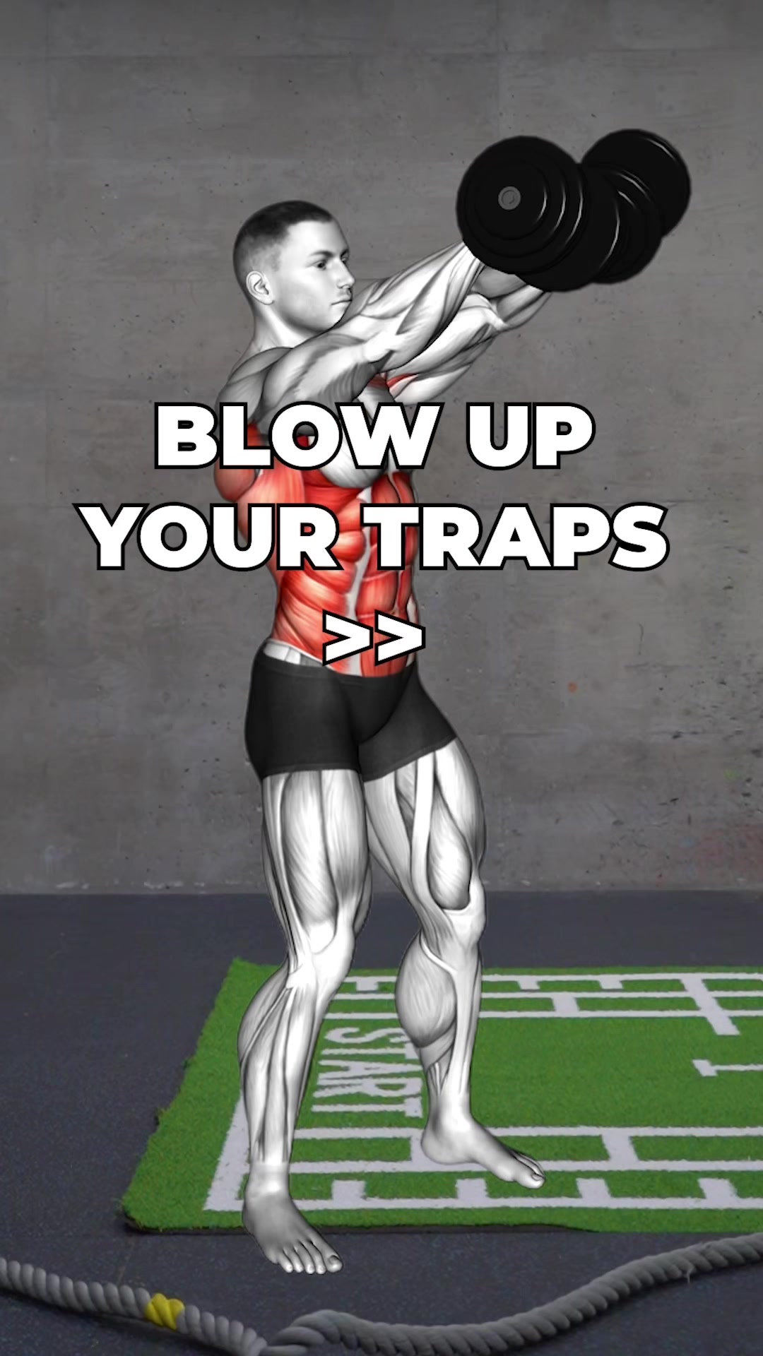 @Workout Inspiration