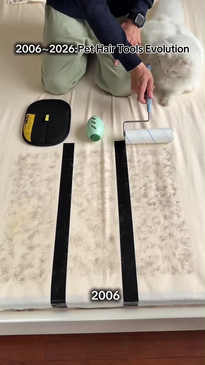 @lklkgfgf62
