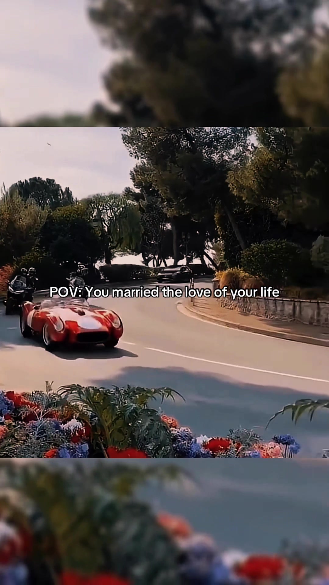 @Formula 1 Fanbase