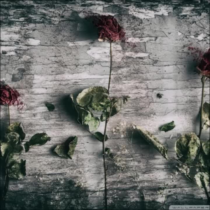 @محمد انور