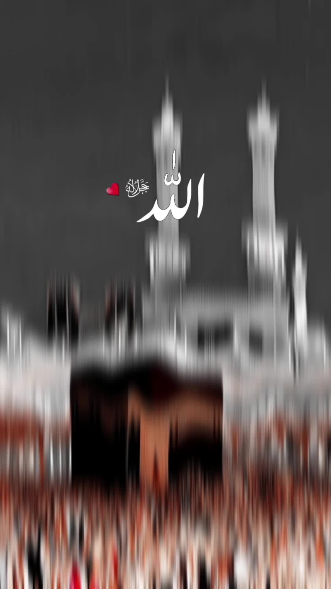 @🐬🦋F𝚊𝚒𝚜𝚊𝚕🦋🐬