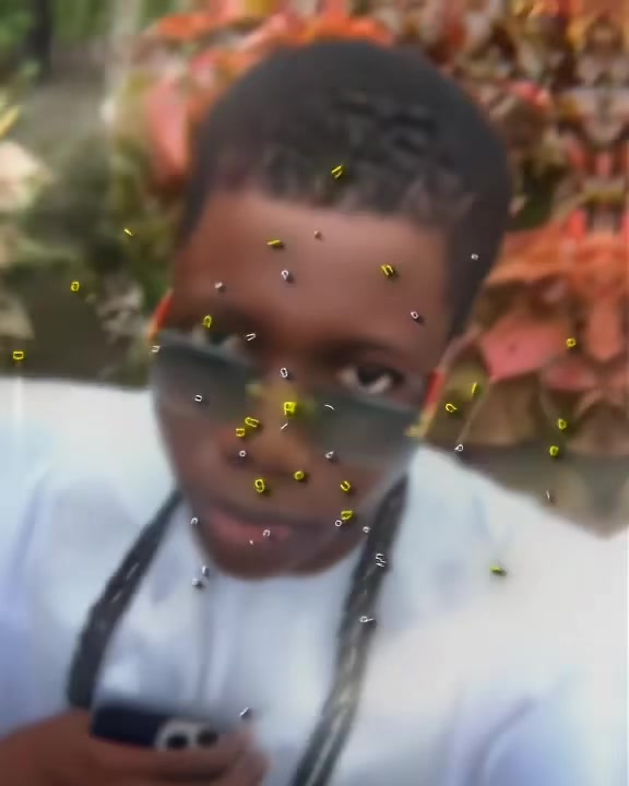 @Mikeverse