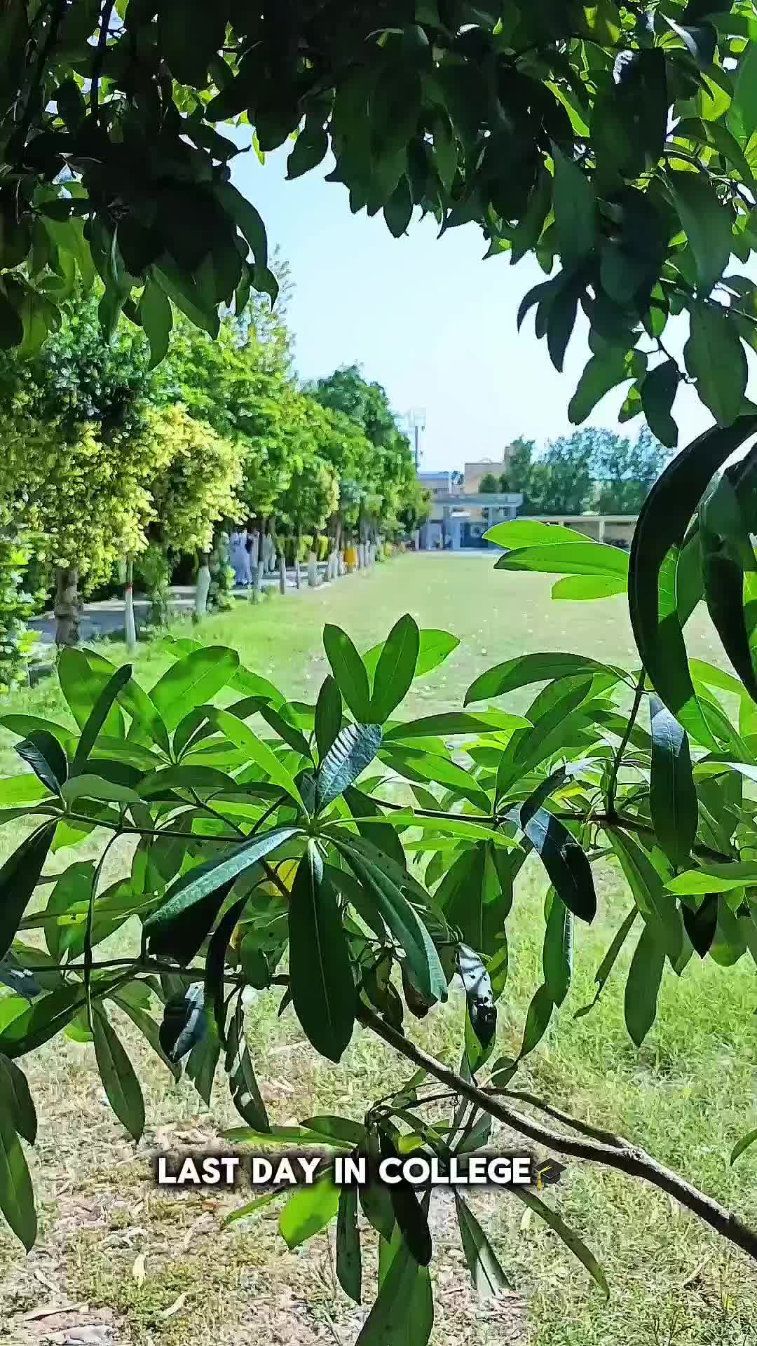 @ZAFFI🇵🇰