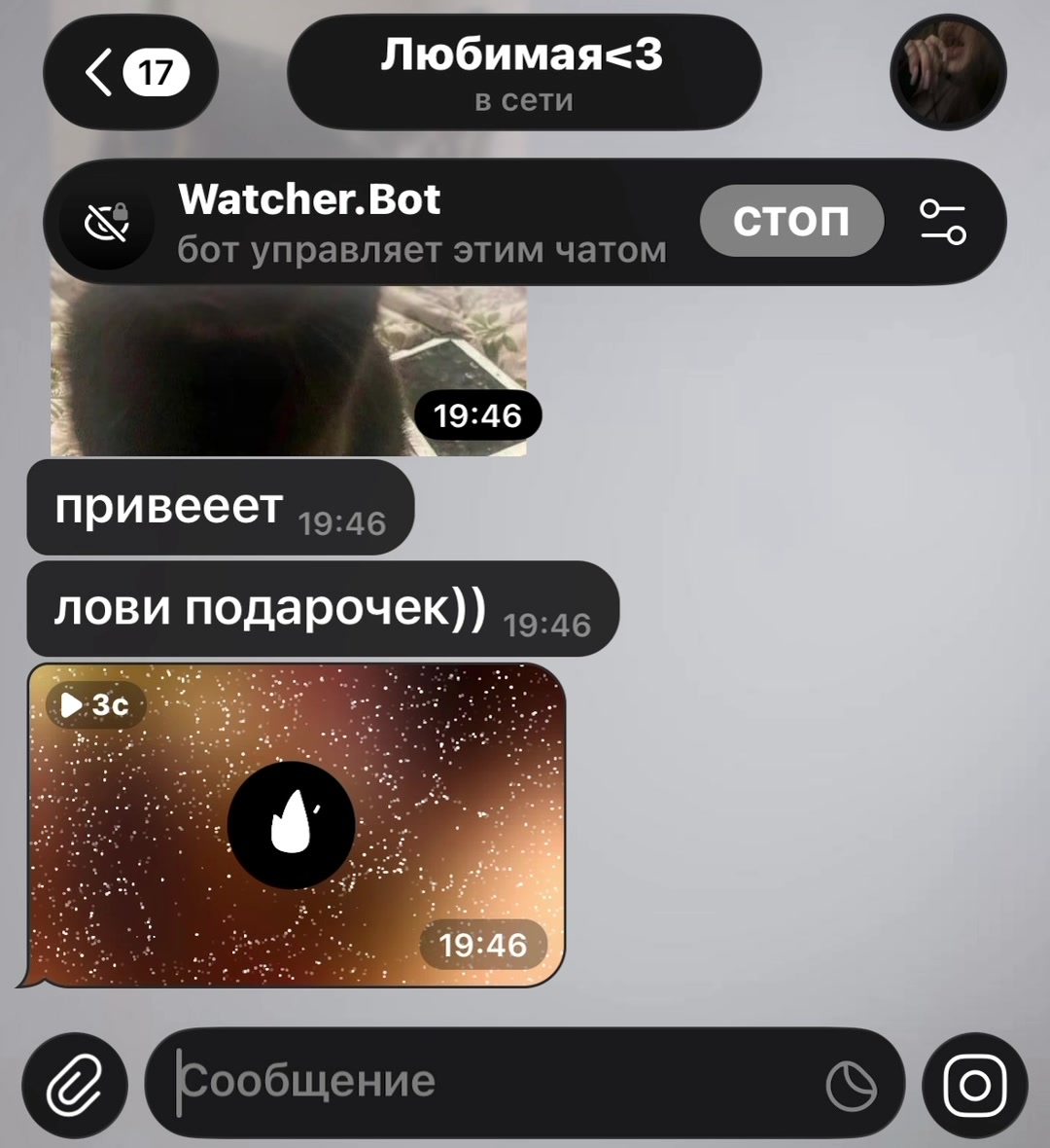 @Watcher.Bot
