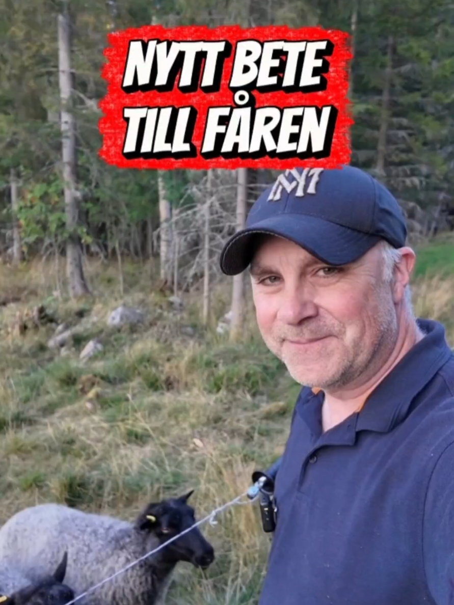 @Skruven i skogen tools