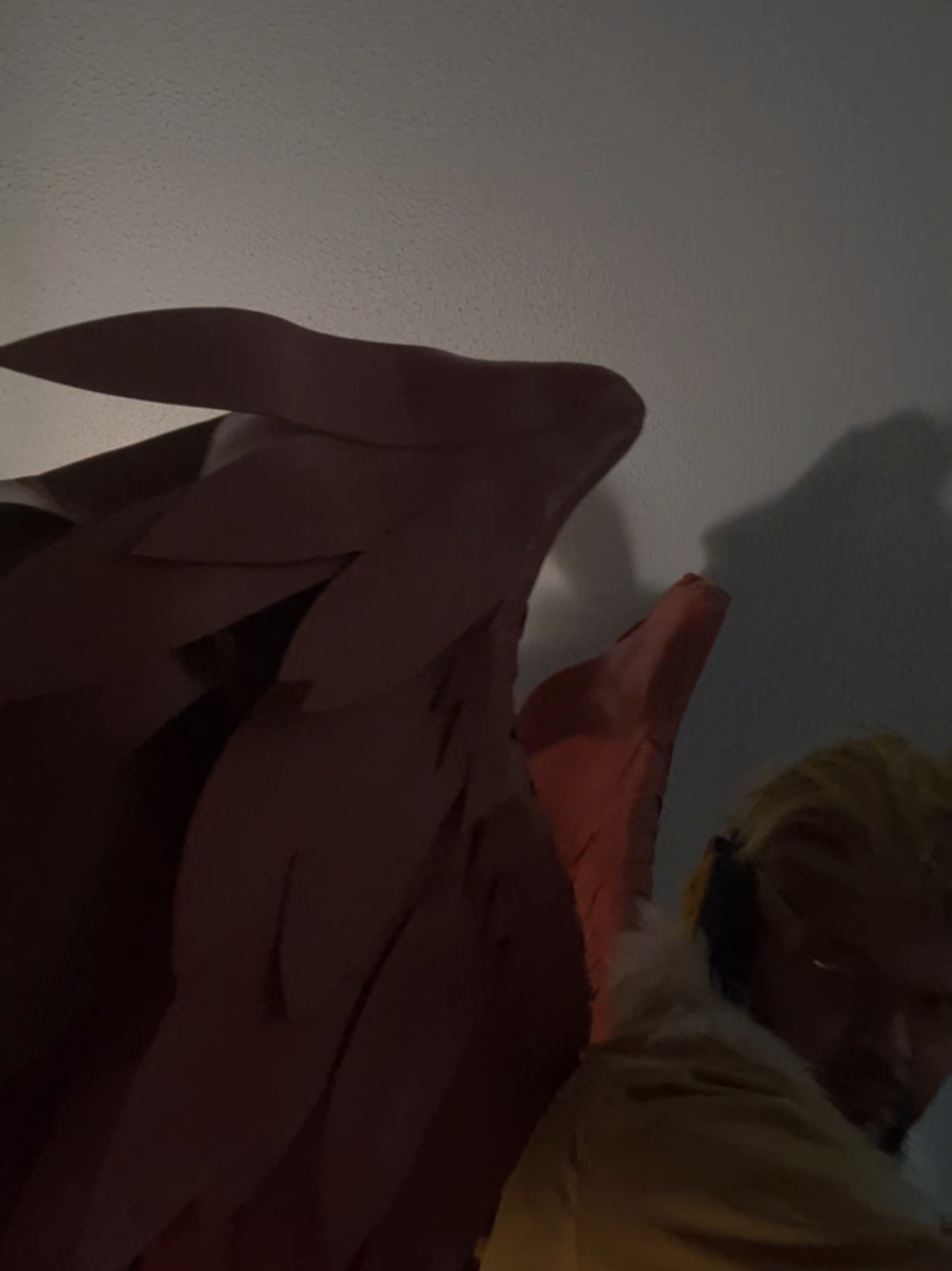 @Gajeel Redfox