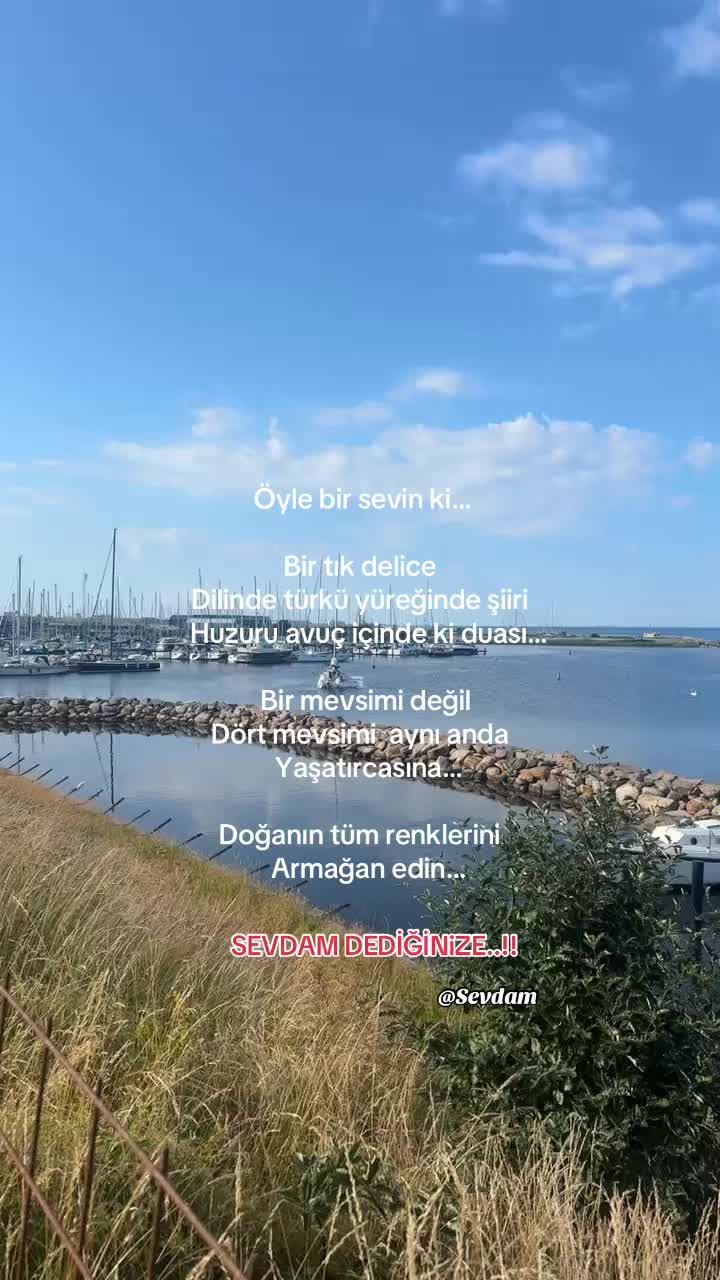 @Sevdam