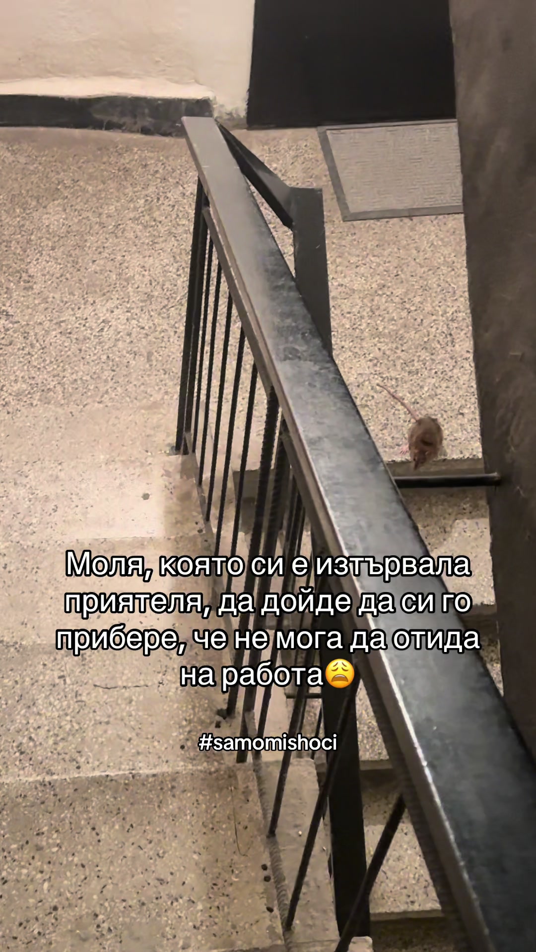 @Martina