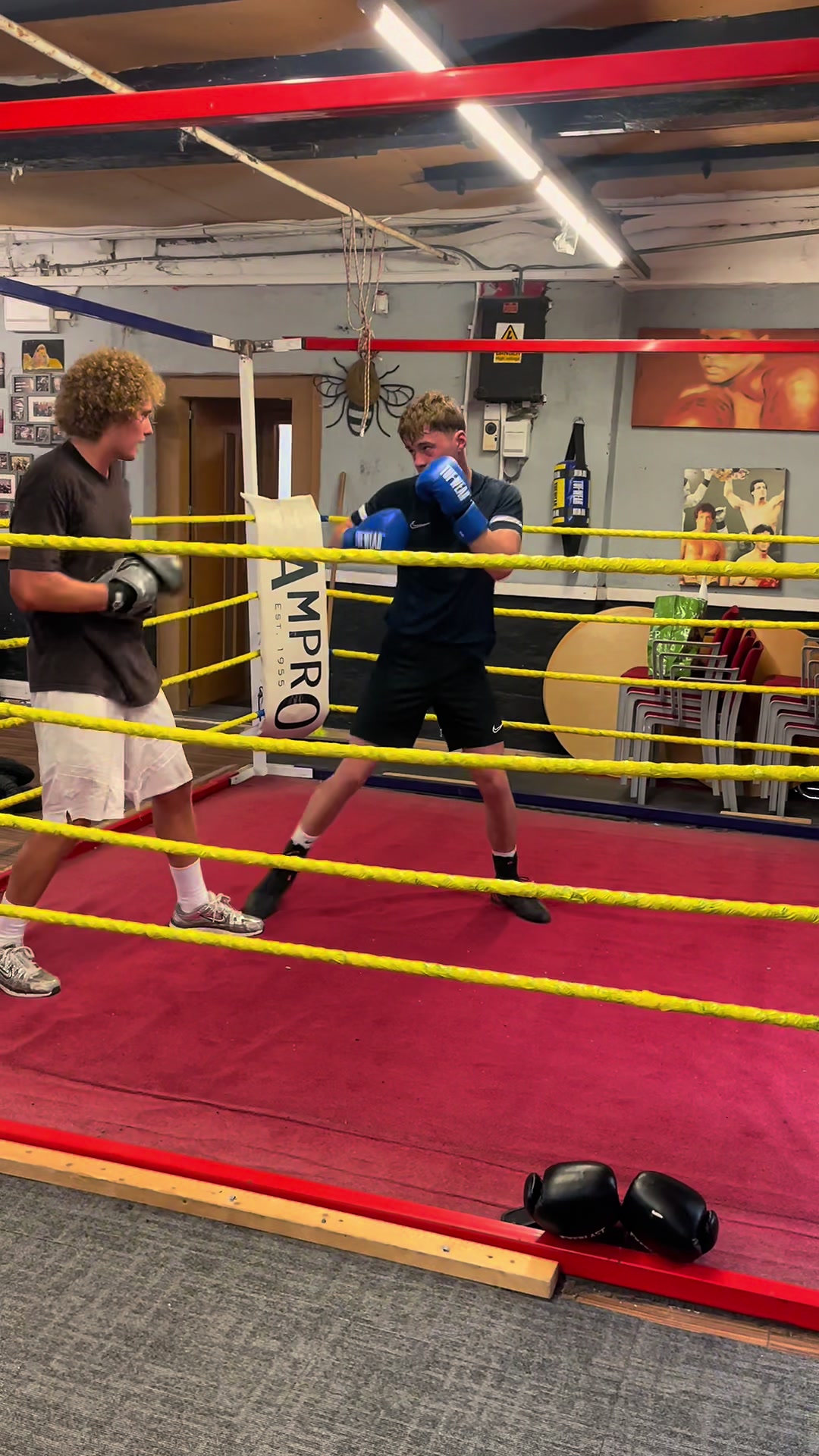 @PUNCHLINE GYM
