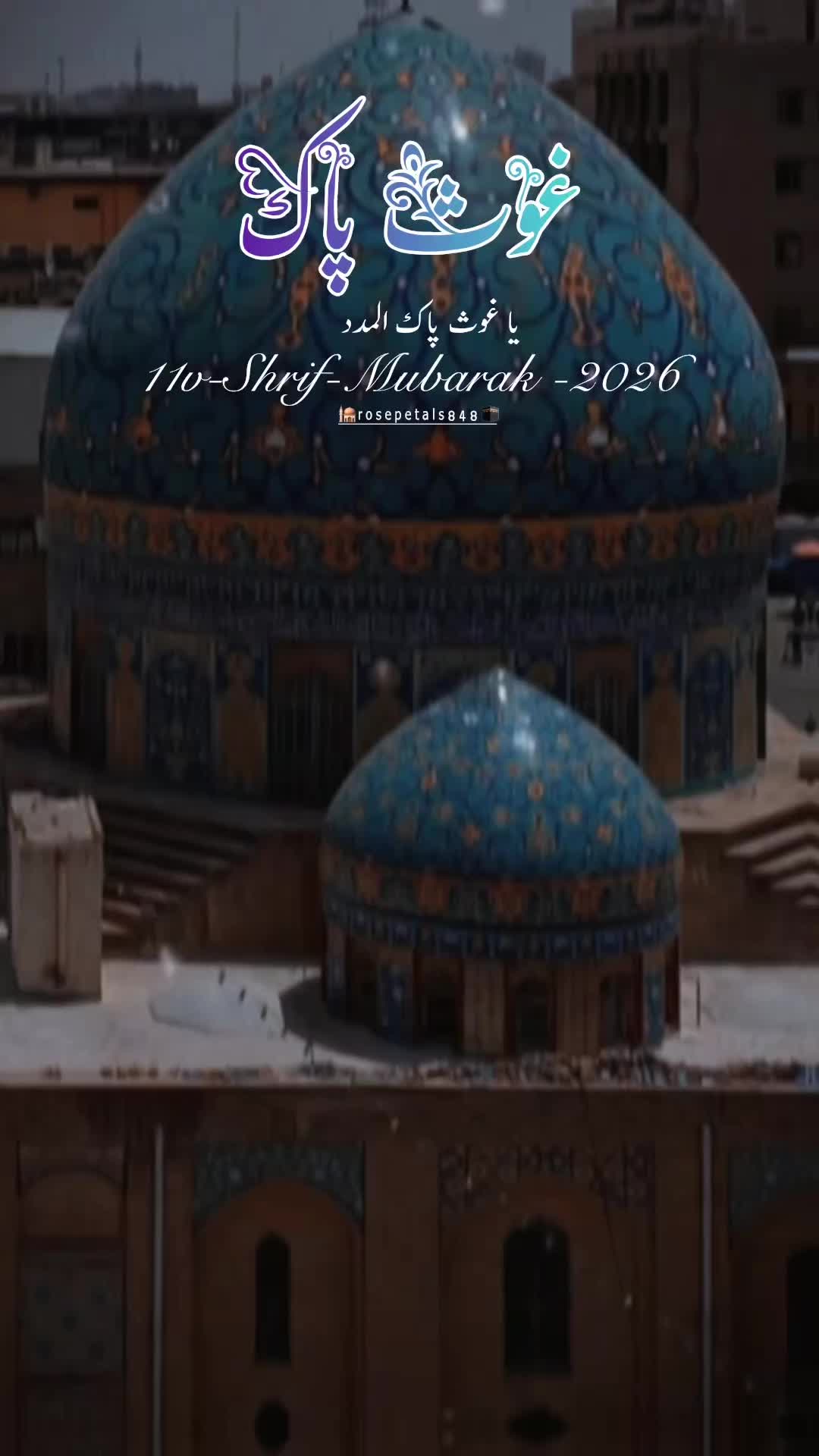 @👈🕋💚rosepetals848🤍🕌👈