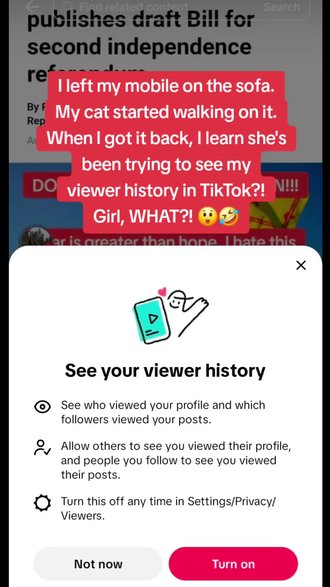 @Iseyara
