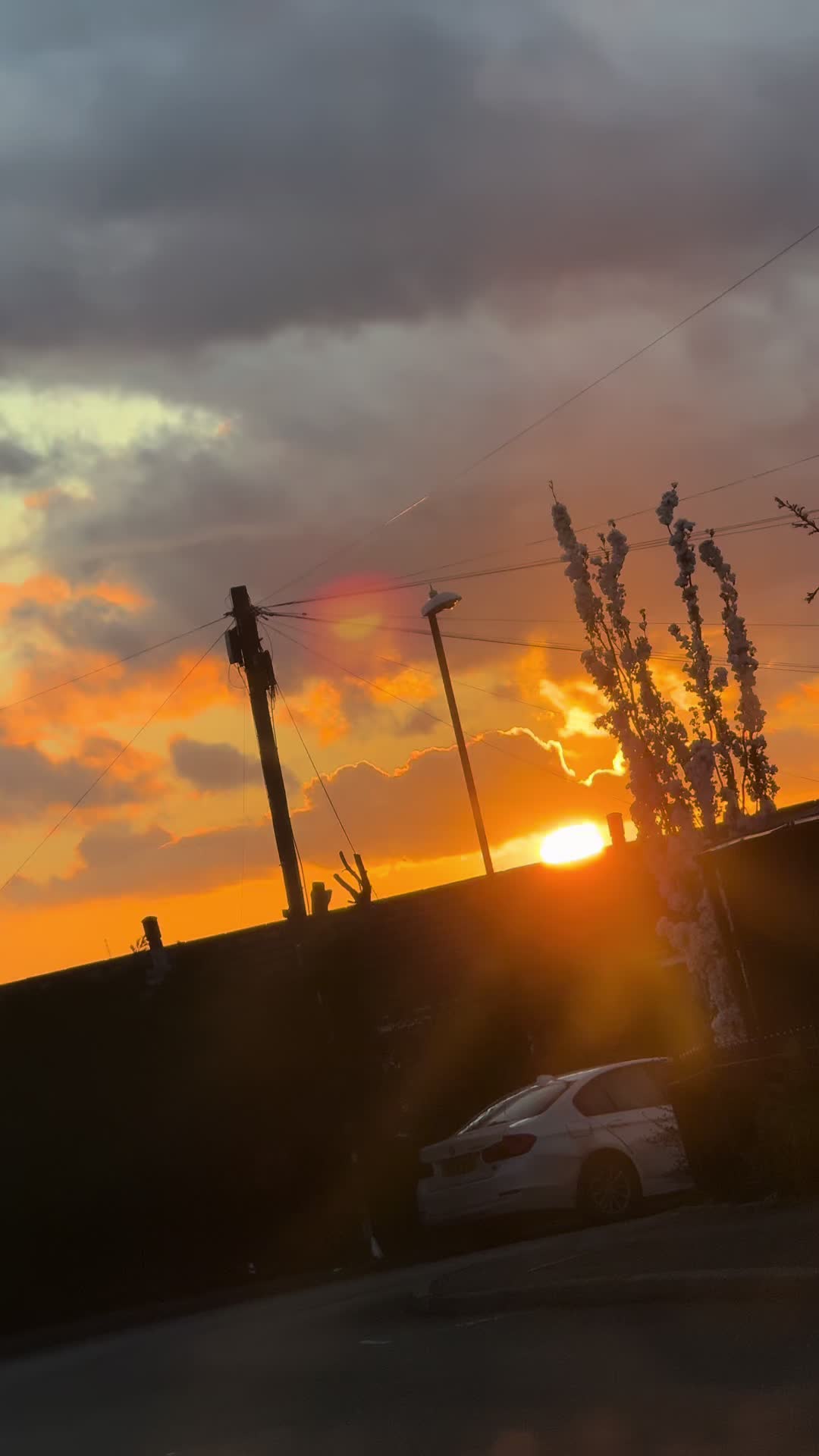 @rajaali_x
