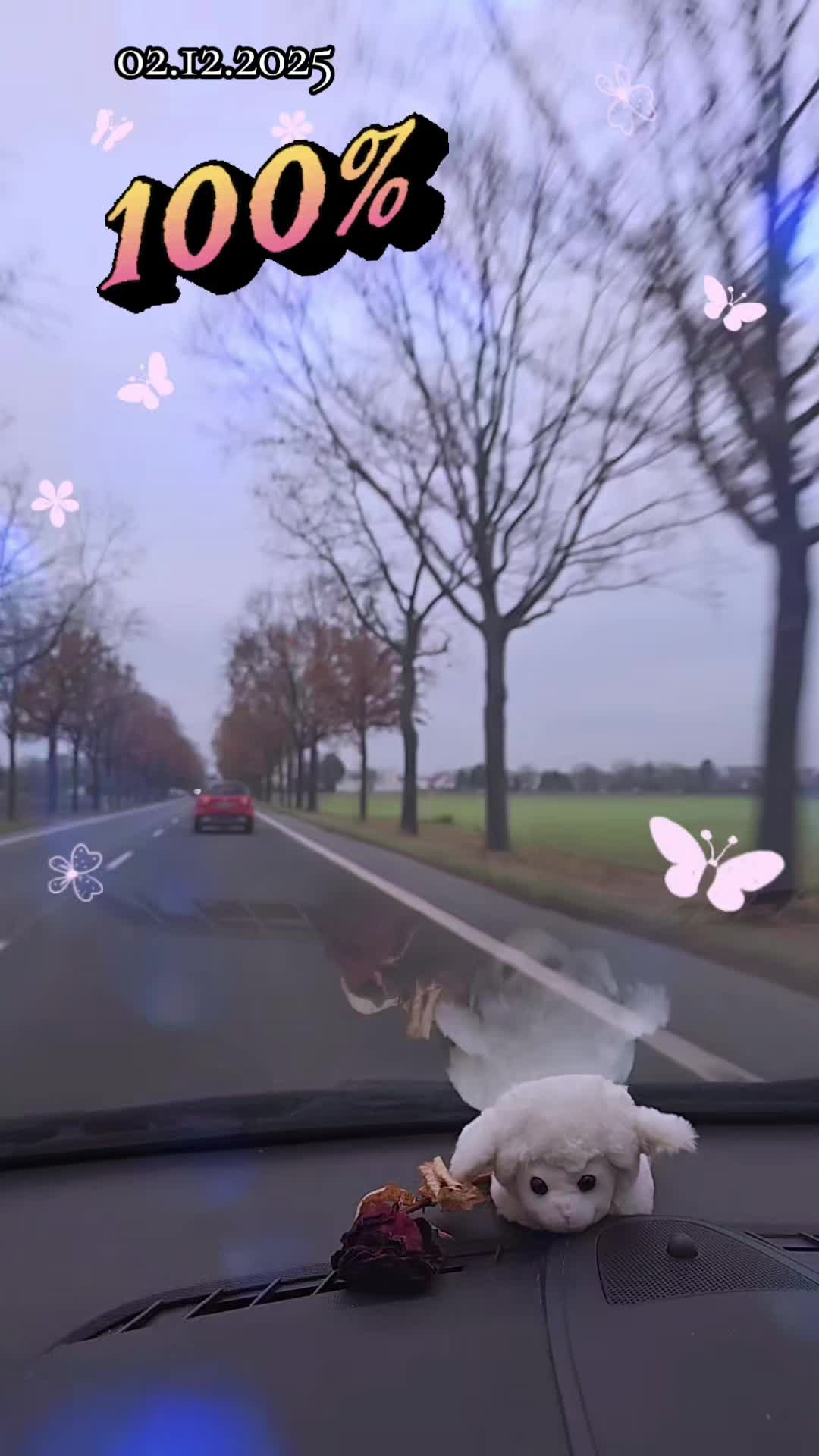 @☆𝐄𝐛𝐑𝐮 𝐃𝐞𝐒𝐓𝐚𝐍~☆🌹👸