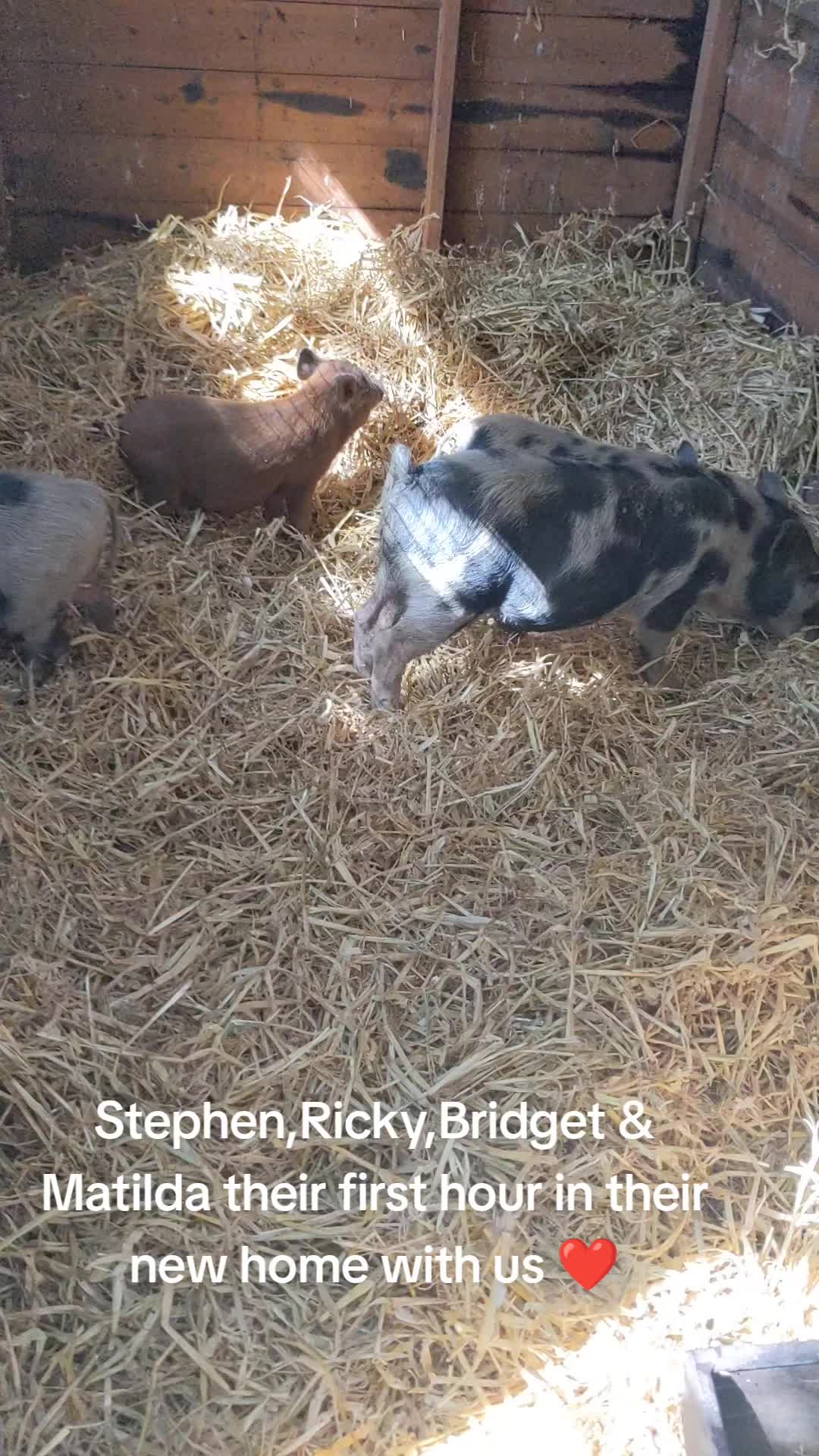 @farmgirl