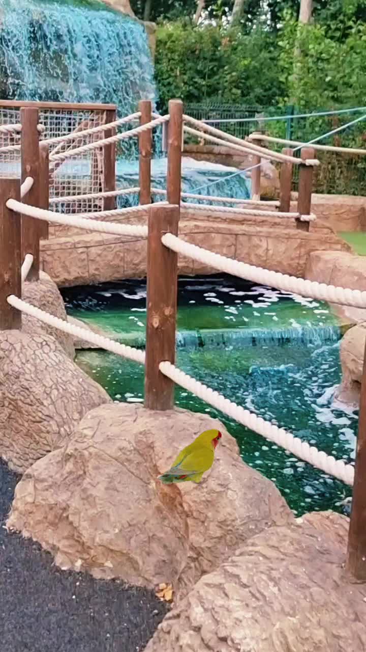 @Zubi🙋♀️زوبی