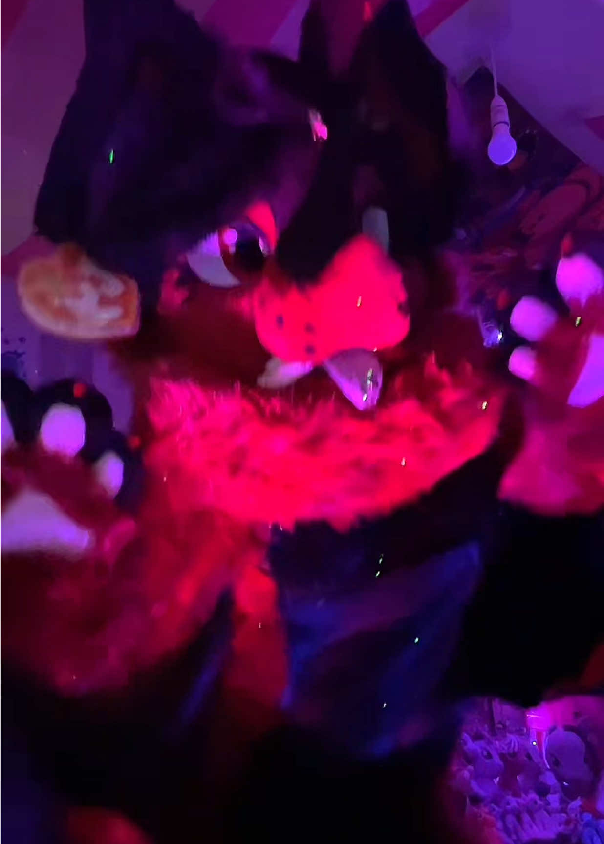 @꧁ ❤️ я&upsilon;ѕту 🐾 ꧂