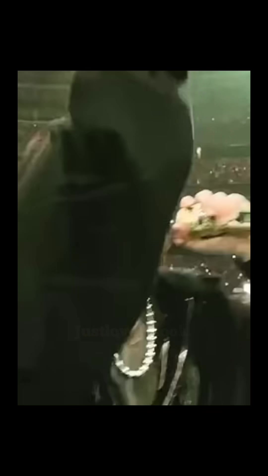 @JustloveJikook