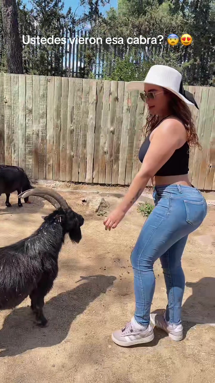 @RᗴIᑎA Cᴏʟ🇨🇴 🍎