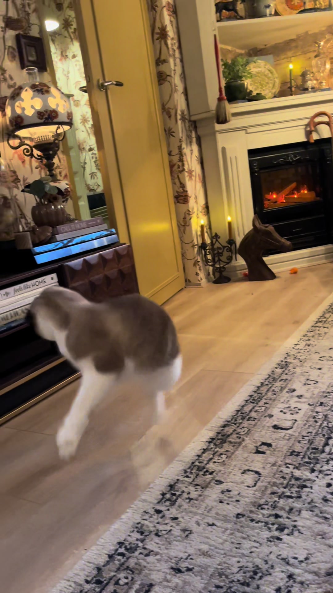 @grumpycattommyandfriends