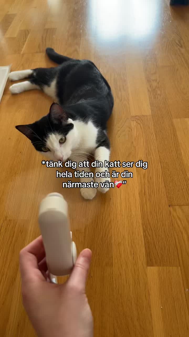 @Adhdgumman❤️&zwj;🩹
