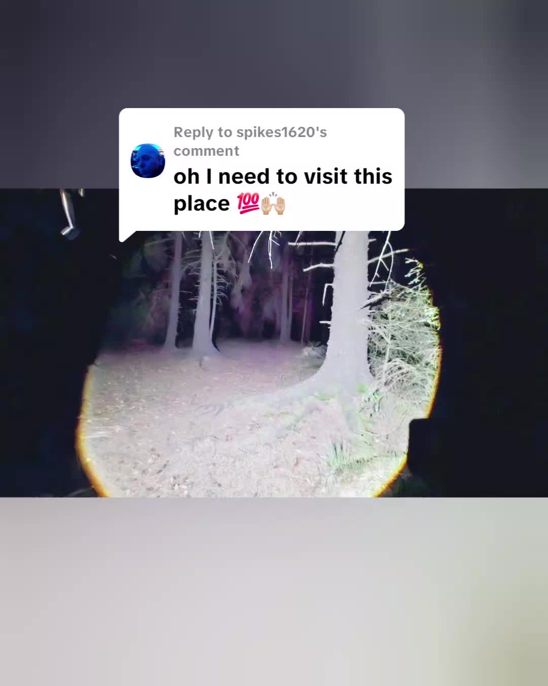 @bazzilbrush