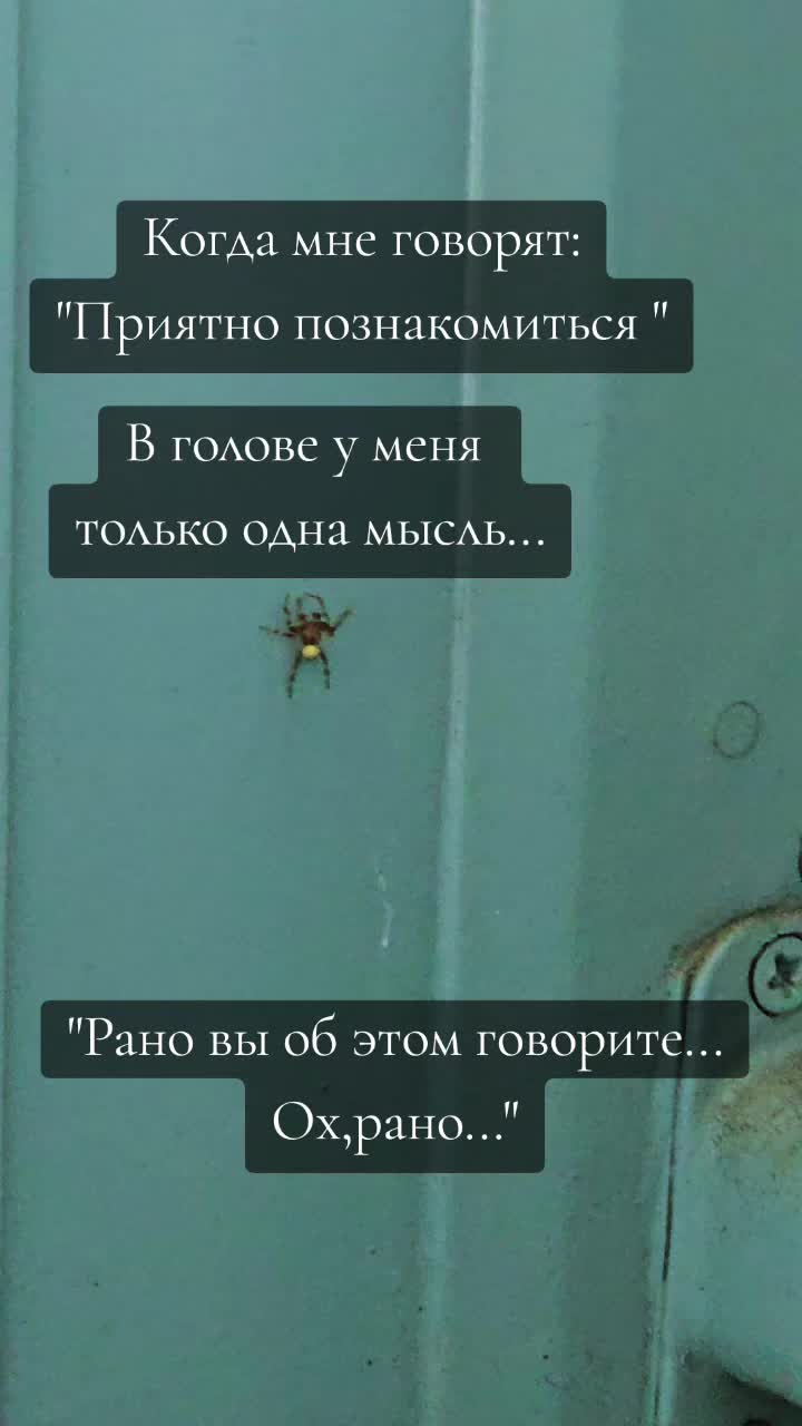 @♊️𝐒𝐄𝐑𝐆𝐄𝐘♊️
