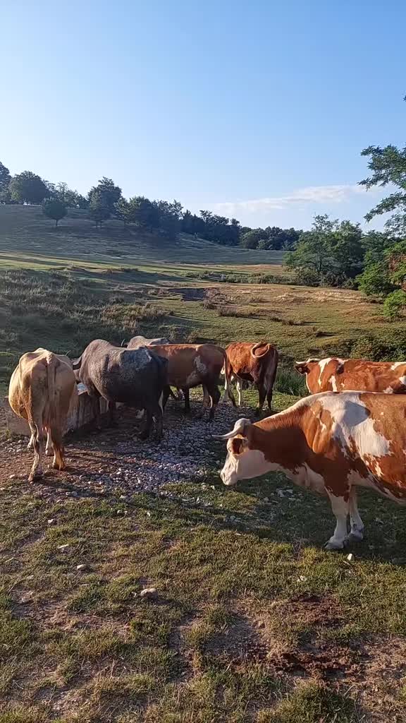 @Viața Satului Bihorean🌏