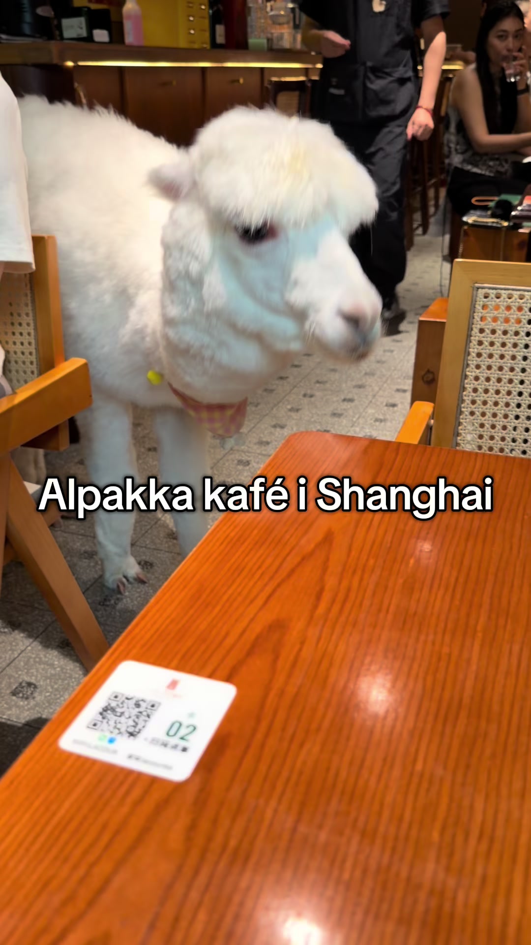 @Dennis Li