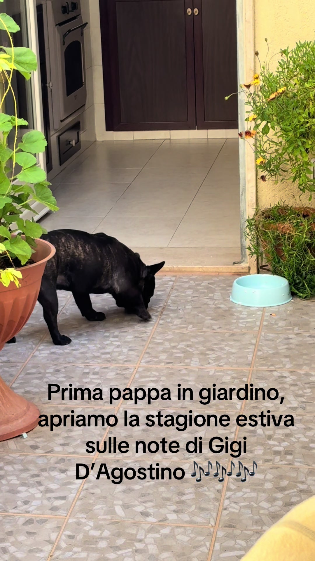 @Apolide