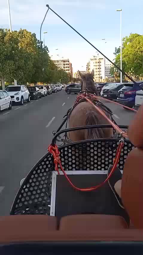 @laferrarilamercedes