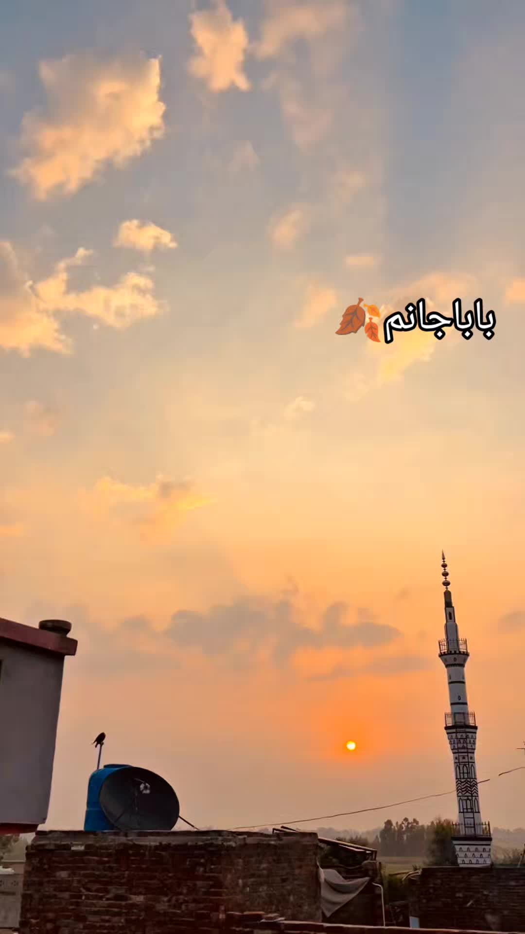 @✨ Islamic vibes ✨