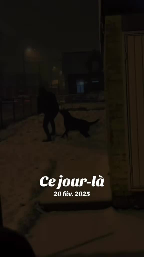 @Nico66