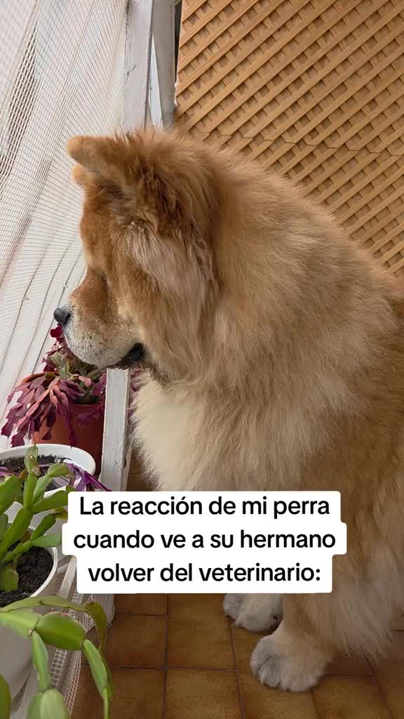 @Kenya y Daddy🐶