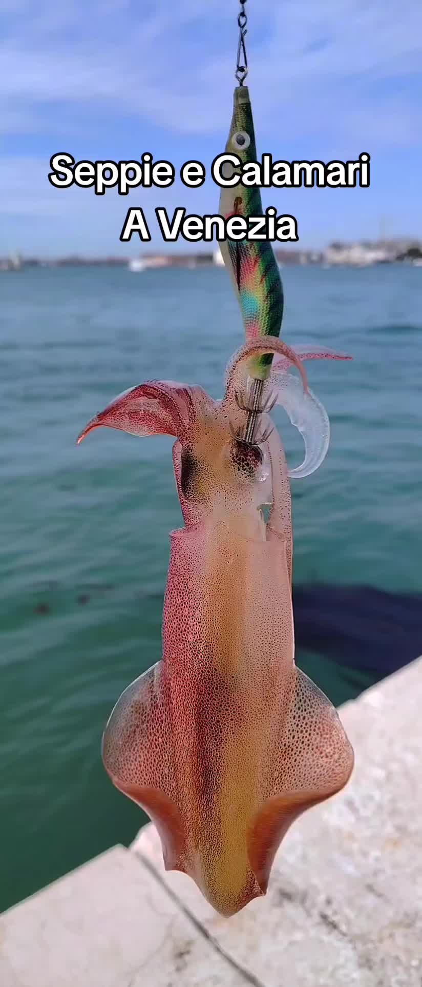 @🎣 maurizio 🇮🇹