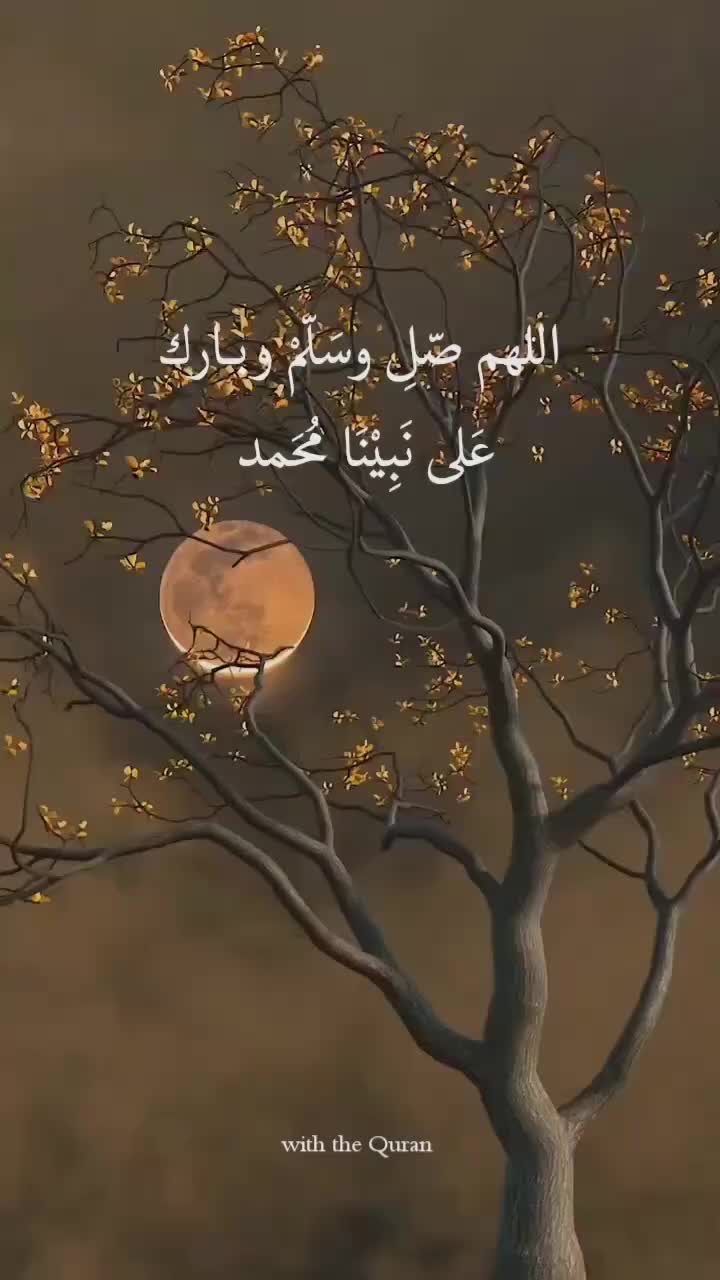 @Laiba Malik 💖✨